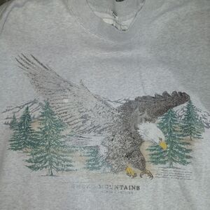 Abercrombie & Fitch Gray(Soft AF Fleece) Eagle Sweatshirt